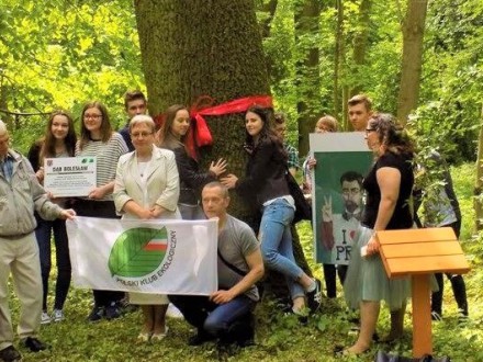 Ochrona drzew w Siedlcach