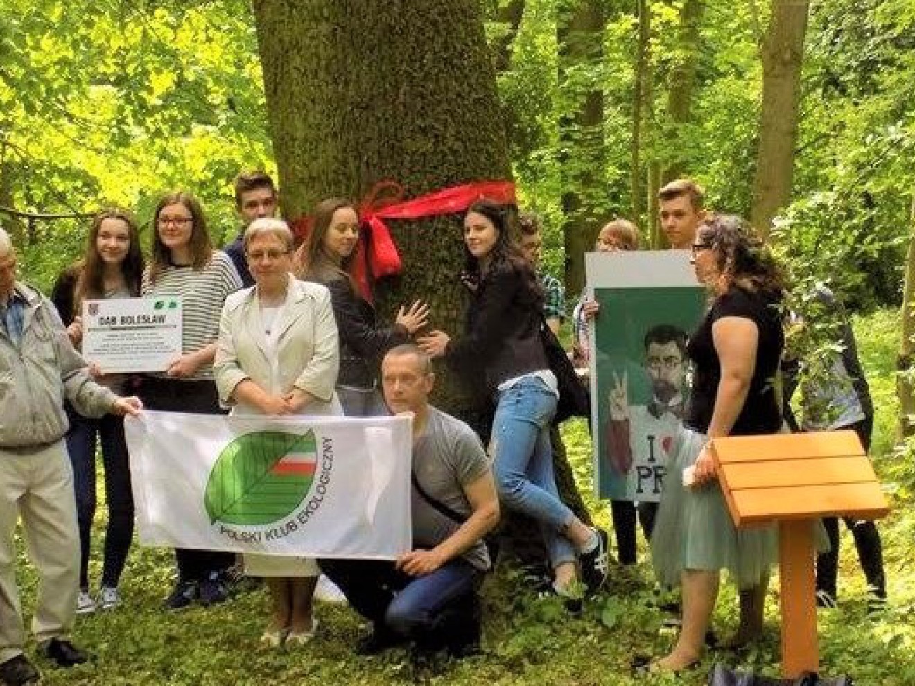 Ochrona drzew w Siedlcach