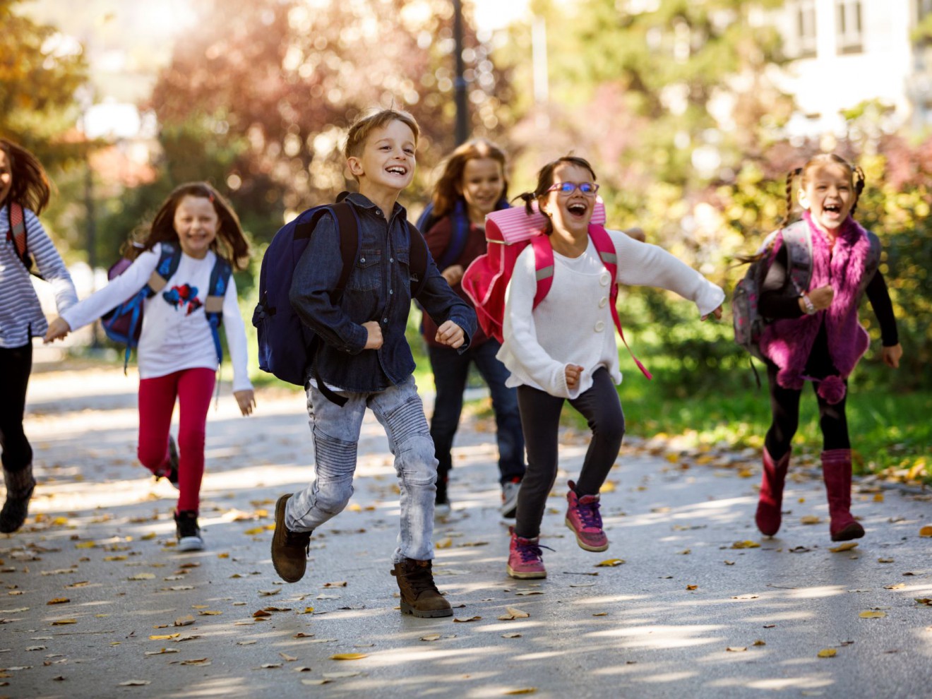 Nowe badanie: 71% poparcia dla szkolnych ulic