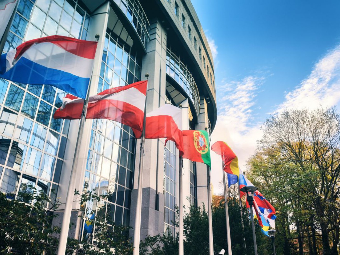 NGO domagają się głębszej redukcji emisji CO2 z samochodów i furgonetek