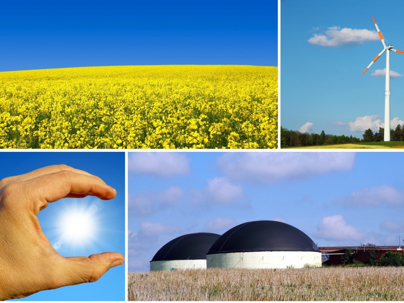 Przydatne narzędzie dla rolników