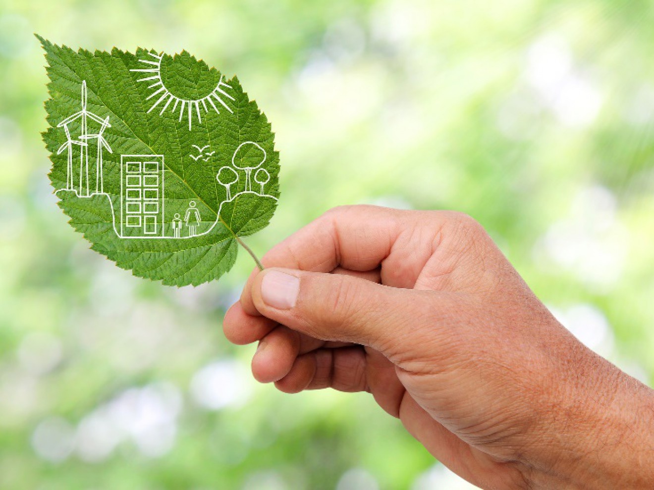 KONFERENCJA Budowa gospodarki niskoemisyjnej