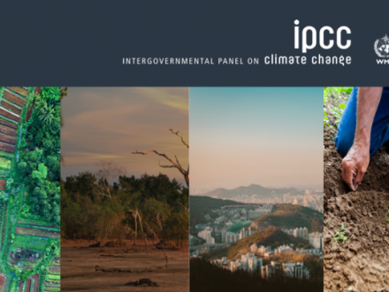 Naukowcy ostrzegają: niewłaściwie korzystamy z gruntów