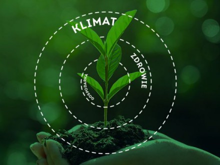 Jaka odpowiedź na nakładające się kryzysy?