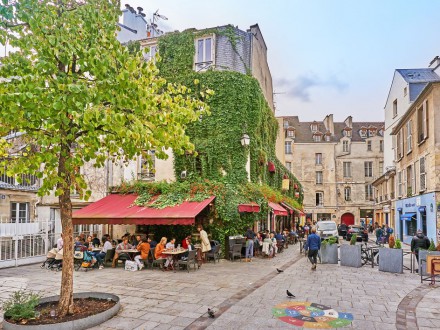 Paryżanie chcą więcej zielonych ulic przyjaznych pieszym