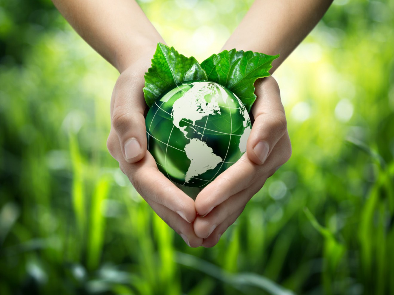 Ekologiczne NGO wspierają Strajk Kobiet