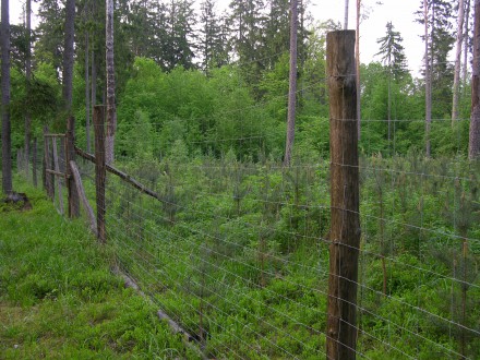 O Puszczy Białowieskiej - Spotkanie dyskusyjne w Siedlcach