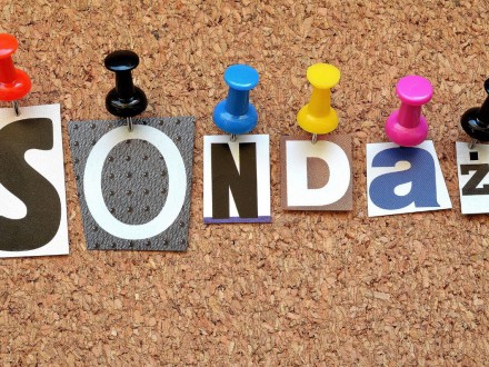 Chcemy więcej zieleni i przestrzeni dla czystej mobilności