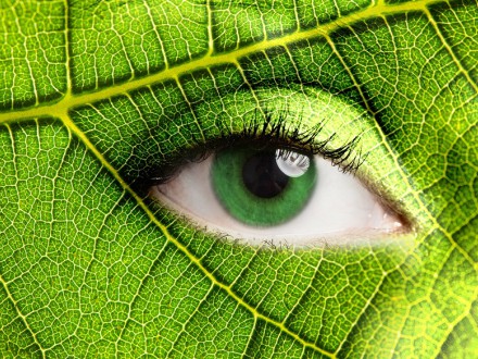 Jaki biznes będzie zielony według UE?