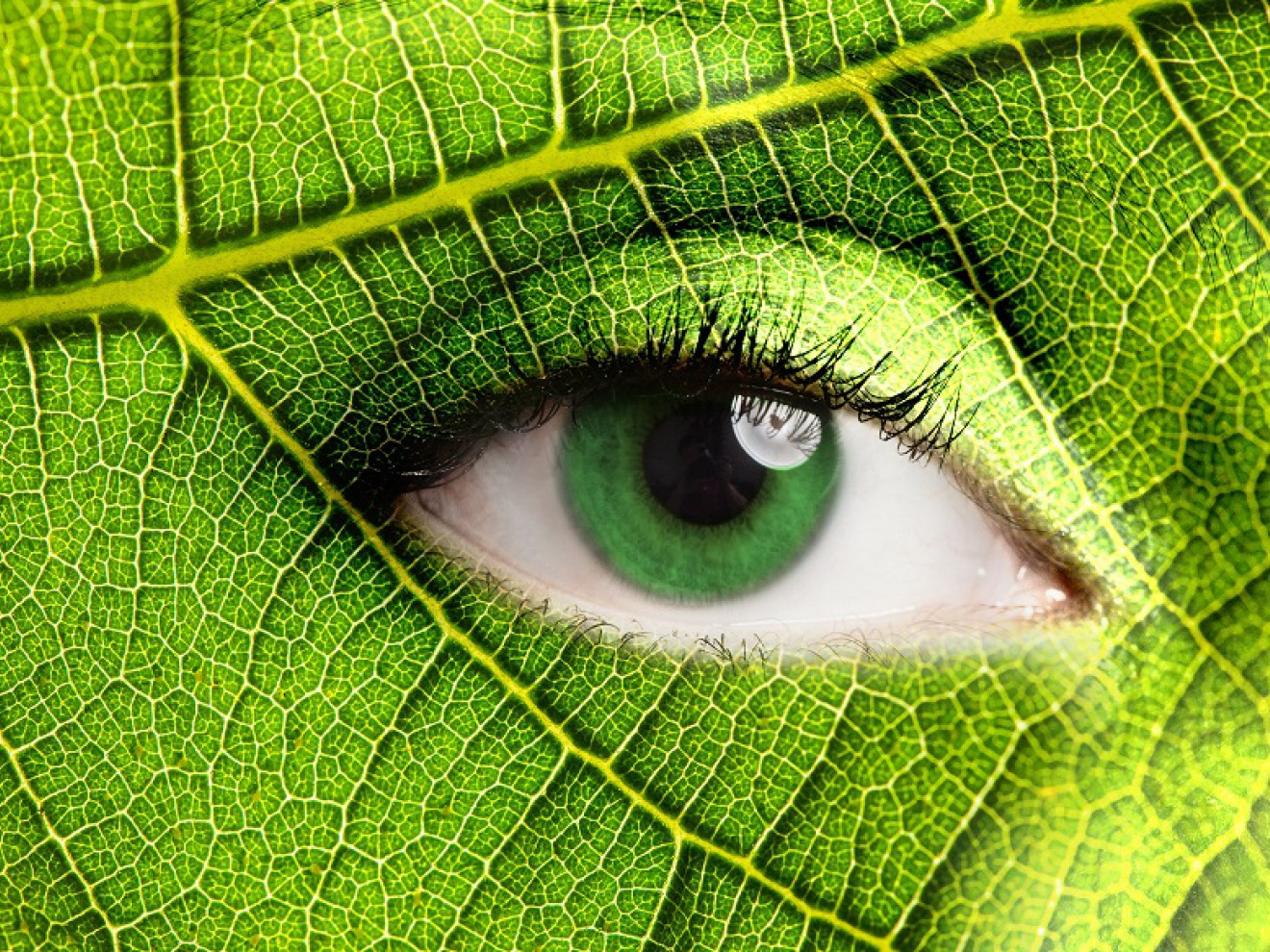 Jaki biznes będzie zielony według UE?