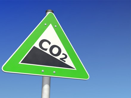 180 organizacji wzywa władze 6 krajów do wzmocnienia ochrony klimatu